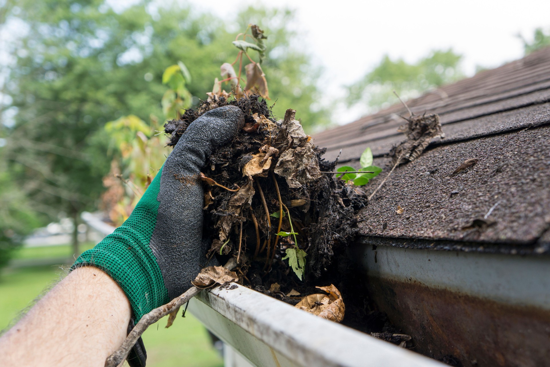 We will remove all the dirt from your roof 